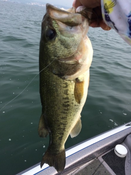 hideup 讓ｪ螻ｱ逶ｴ莠ｺ 繝悶Ο繧ｰ蜀咏悄 2014/06/21