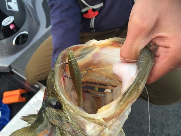 hideup 讓ｪ螻ｱ逶ｴ莠ｺ 繝悶Ο繧ｰ蜀咏悄 2016/05/01