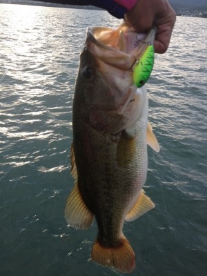 hideup 讓ｪ螻ｱ逶ｴ莠ｺ 繝悶Ο繧ｰ蜀咏悄 2014/10/12