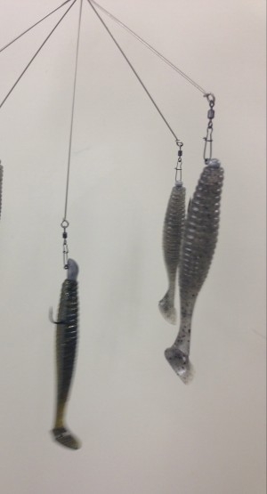 hideup 讓ｪ螻ｱ逶ｴ莠ｺ 繝悶Ο繧ｰ蜀咏悄 2014/12/14