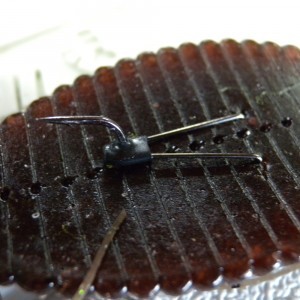 hideup 横山直人 ブログ写真 2015/05/25