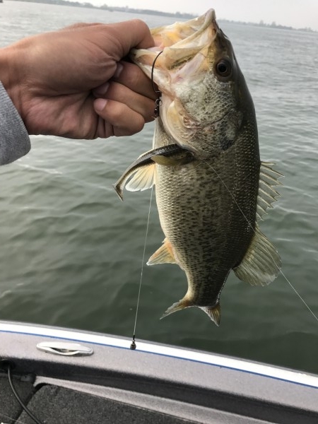 hideup 横山直人 ブログ写真 2017/04/30
