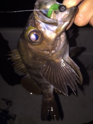 hideup 横山直人 ブログ写真 2015/03/23