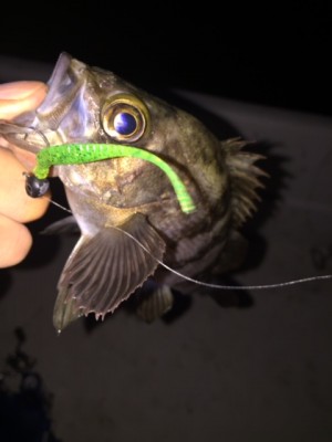 hideup 横山直人 ブログ写真 2015/03/23