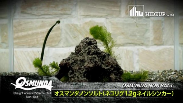 hideup 横山直人 ブログ写真 2014/03/18