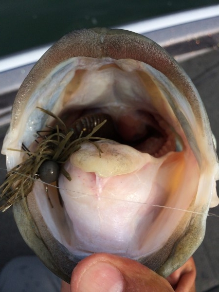 hideup 讓ｪ螻ｱ逶ｴ莠ｺ 繝悶Ο繧ｰ蜀咏悄 2014/06/21