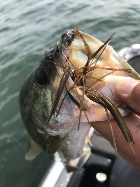 hideup 横山直人 ブログ写真 2017/07/02