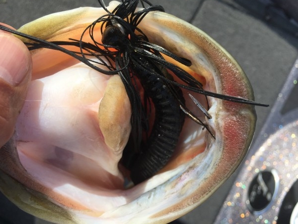 hideup 讓ｪ螻ｱ逶ｴ莠ｺ 繝悶Ο繧ｰ蜀咏悄 2015/03/21