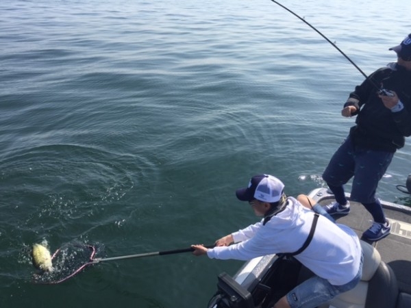 hideup 横山直人 ブログ写真 2015/05/02