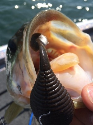 hideup 横山直人 ブログ写真 2015/05/01