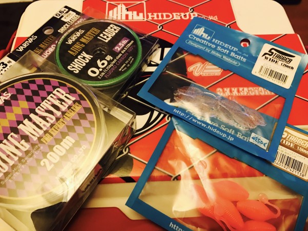 hideup 讓ｪ螻ｱ逶ｴ莠ｺ 繝悶Ο繧ｰ蜀咏悄 2017/01/05