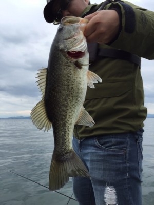 hideup 横山直人 ブログ写真 2015/05/04