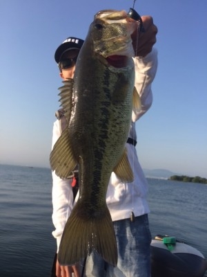 hideup 横山直人 ブログ写真 2015/05/02