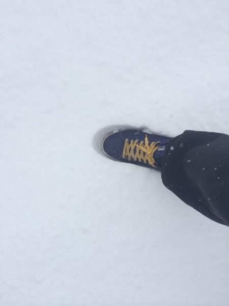 hideup 横山直人 ブログ写真 2014/02/15