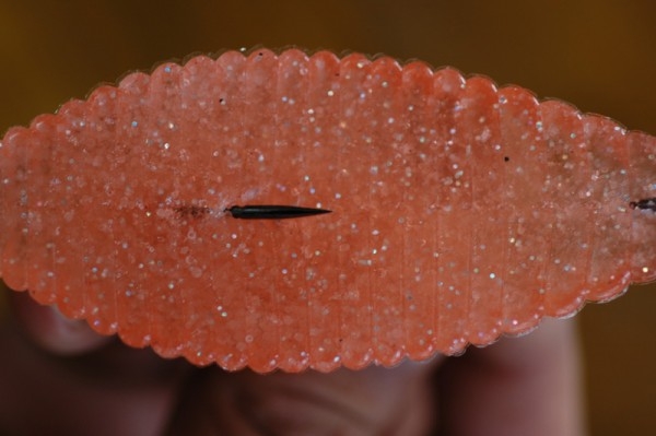 hideup 横山直人 ブログ写真 2015/05/10