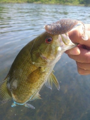 hideup 讓ｪ螻ｱ逶ｴ莠ｺ 繝悶Ο繧ｰ蜀咏悄 2014/06/17