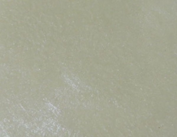 hideup 横山直人 ブログ写真 2015/11/13