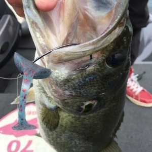 hideup 讓ｪ螻ｱ逶ｴ莠ｺ 繝悶Ο繧ｰ蜀咏悄 2016/05/17