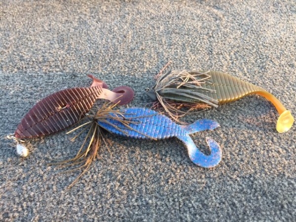 hideup 横山直人 ブログ写真 2016/08/03