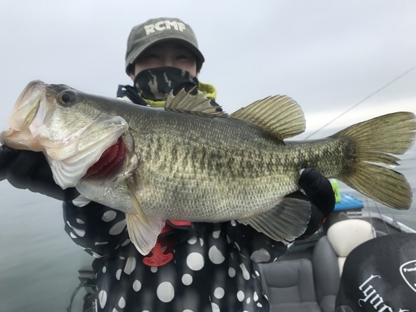 hideup 横山直人 ブログ写真 2017/04/08