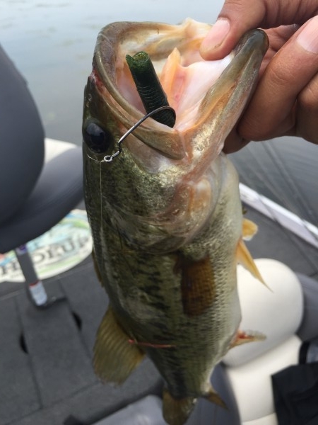 hideup 讓ｪ螻ｱ逶ｴ莠ｺ 繝悶Ο繧ｰ蜀咏悄 2015/06/13