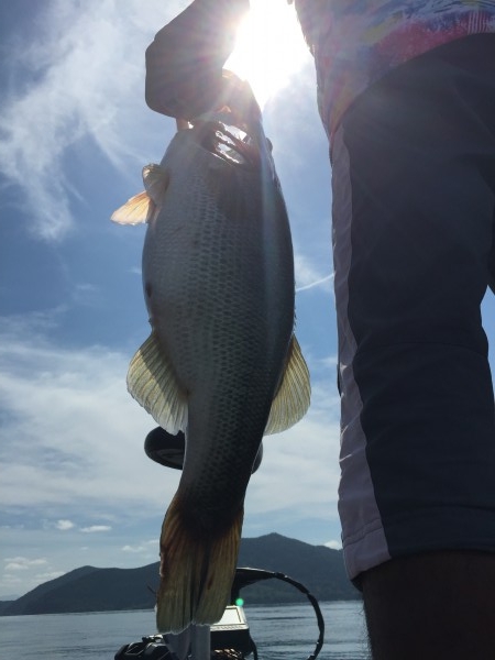 hideup 讓ｪ螻ｱ逶ｴ莠ｺ 繝悶Ο繧ｰ蜀咏悄 2015/09/06