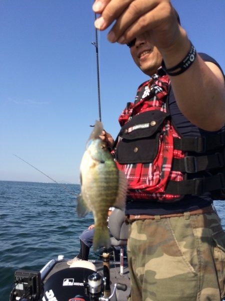 hideup 讓ｪ螻ｱ逶ｴ莠ｺ 繝悶Ο繧ｰ蜀咏悄 2014/06/02