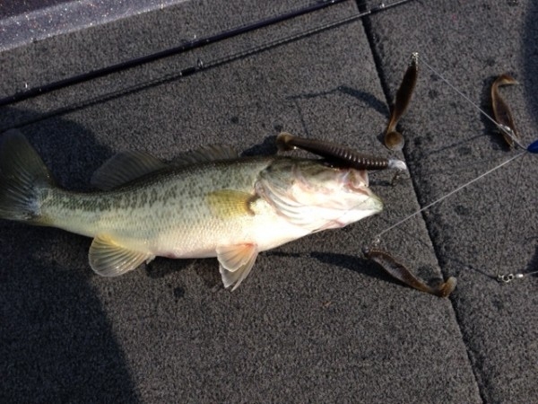 hideup 讓ｪ螻ｱ逶ｴ莠ｺ 繝悶Ο繧ｰ蜀咏悄 2014/11/13