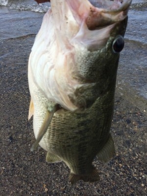 hideup 讓ｪ螻ｱ逶ｴ莠ｺ 繝悶Ο繧ｰ蜀咏悄 2014/09/03