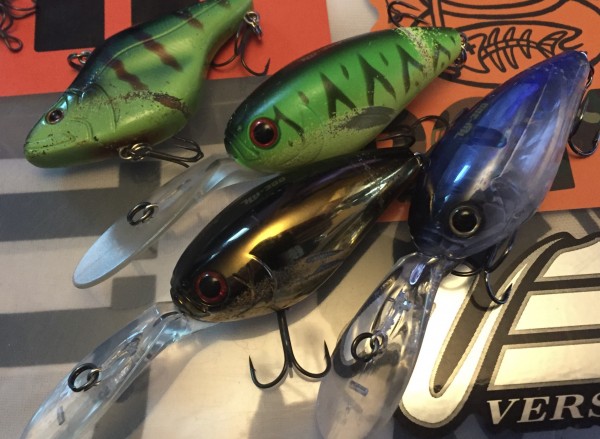 hideup 讓ｪ螻ｱ逶ｴ莠ｺ 繝悶Ο繧ｰ蜀咏悄 2016/11/22