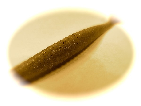 hideup 横山直人 ブログ写真 2015/04/14