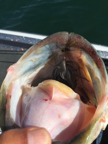 hideup 讓ｪ螻ｱ逶ｴ莠ｺ 繝悶Ο繧ｰ蜀咏悄 2016/07/13