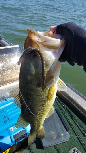 hideup 横山直人 ブログ写真 2017/06/07