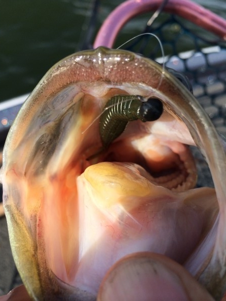 hideup 讓ｪ螻ｱ逶ｴ莠ｺ 繝悶Ο繧ｰ蜀咏悄 2014/05/05