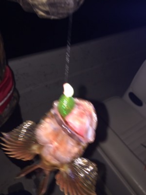 hideup 横山直人 ブログ写真 2015/03/23