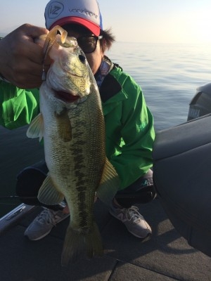 hideup 讓ｪ螻ｱ逶ｴ莠ｺ 繝悶Ο繧ｰ蜀咏悄 2014/06/01