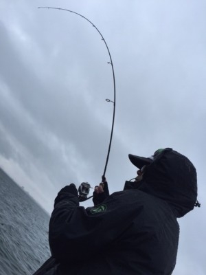 hideup 横山直人 ブログ写真 2015/04/05