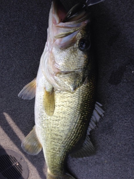 hideup 讓ｪ螻ｱ逶ｴ莠ｺ 繝悶Ο繧ｰ蜀咏悄 2013/11/02