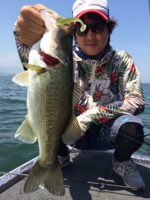 hideup 横山直人 ブログ写真 2014/06/01