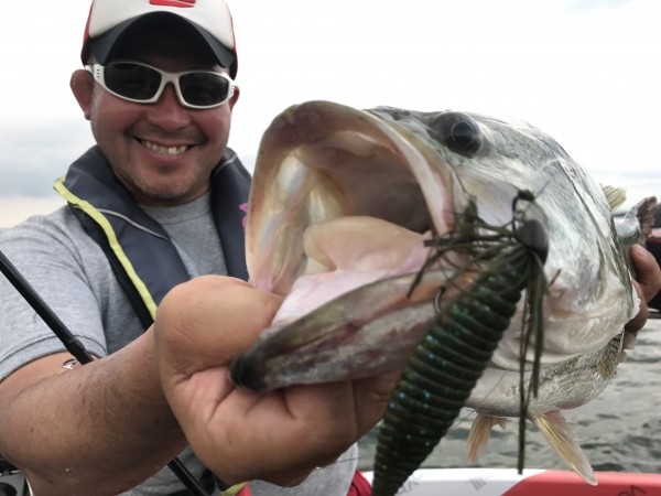 hideup 横山直人 ブログ写真 2017/07/02