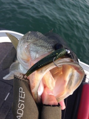 hideup 讓ｪ螻ｱ逶ｴ莠ｺ 繝悶Ο繧ｰ蜀咏悄 2014/04/12