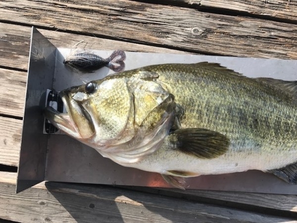 hideup 横山直人 ブログ写真 2017/08/06