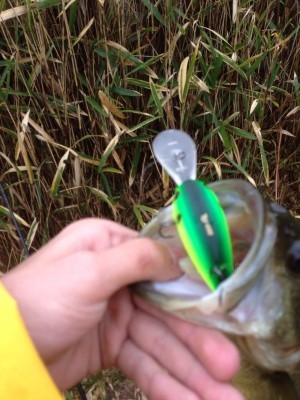 hideup 横山直人 ブログ写真 2015/04/01