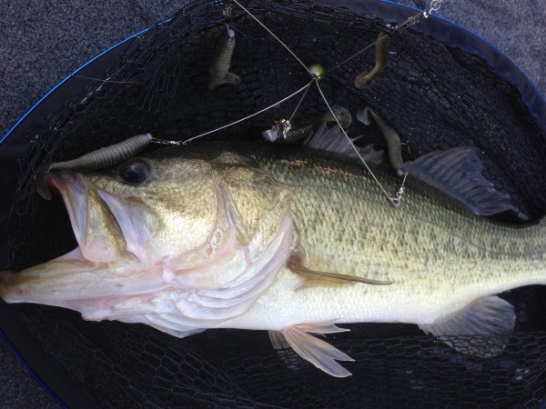 hideup 横山直人 ブログ写真 2014/11/04