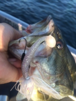 hideup 横山直人 ブログ写真 2015/08/15