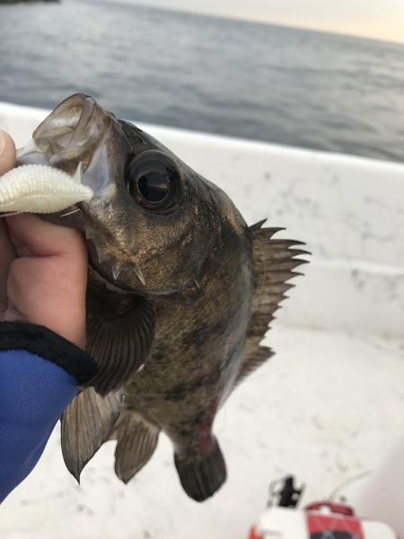 hideup 讓ｪ螻ｱ逶ｴ莠ｺ 繝悶&Omicron;繧ｰ蜀咏悄 2017/03/02