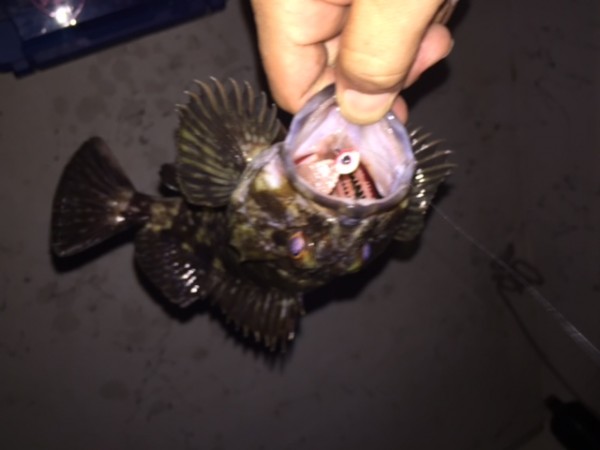 hideup 横山直人 ブログ写真 2015/03/23