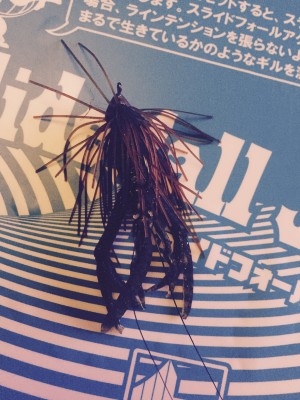 hideup 讓ｪ螻ｱ逶ｴ莠ｺ 繝悶Ο繧ｰ蜀咏悄 2016/03/09