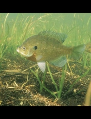 hideup 讓ｪ螻ｱ逶ｴ莠ｺ 繝悶Ο繧ｰ蜀咏悄 2014/05/13