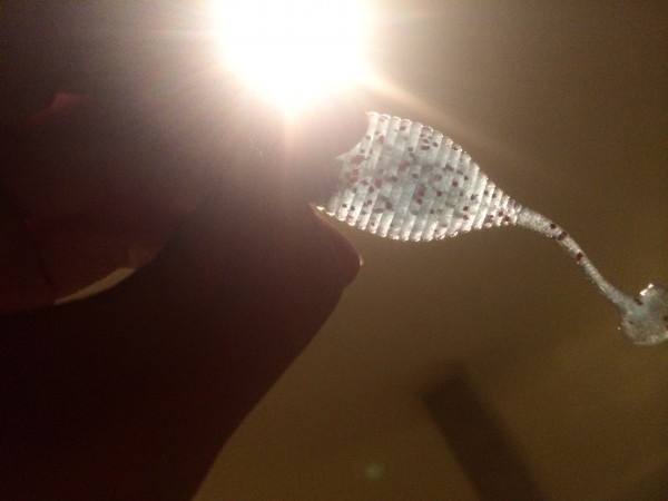 hideup 横山直人 ブログ写真 2014/02/22